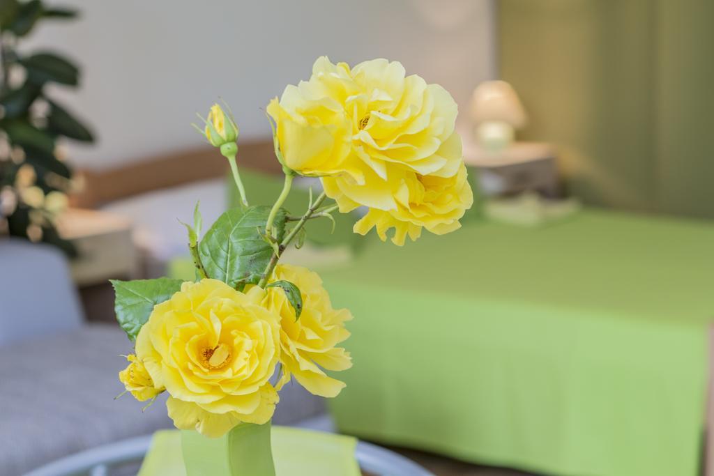 Pula Istria Apartments Εξωτερικό φωτογραφία