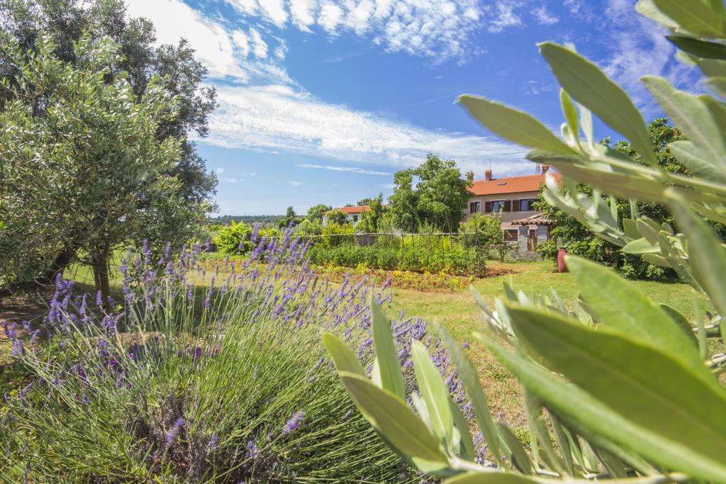 Pula Istria Apartments Εξωτερικό φωτογραφία